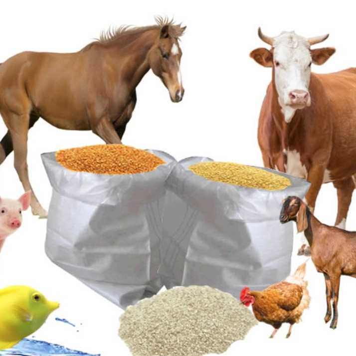 بازرگانی ممبینی