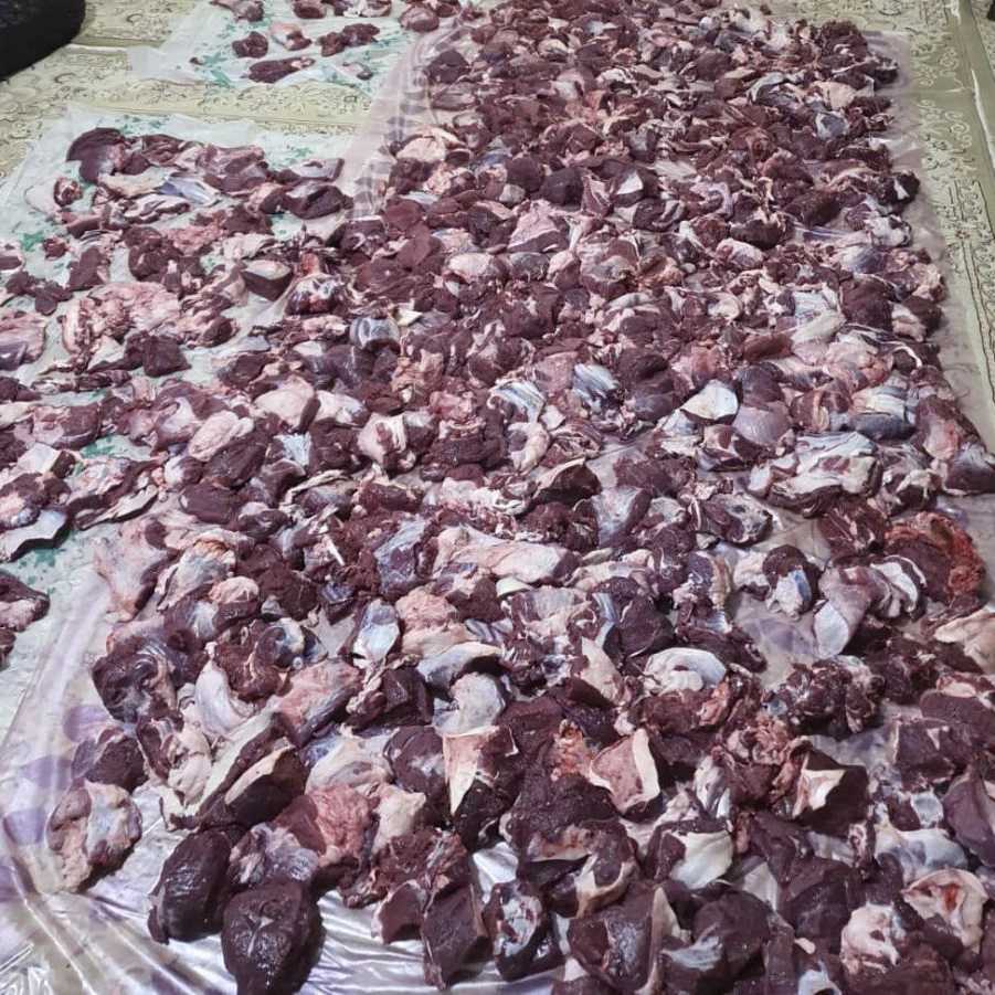 خیریه نیکوکاری رهپویان طلوع امید در شیراز