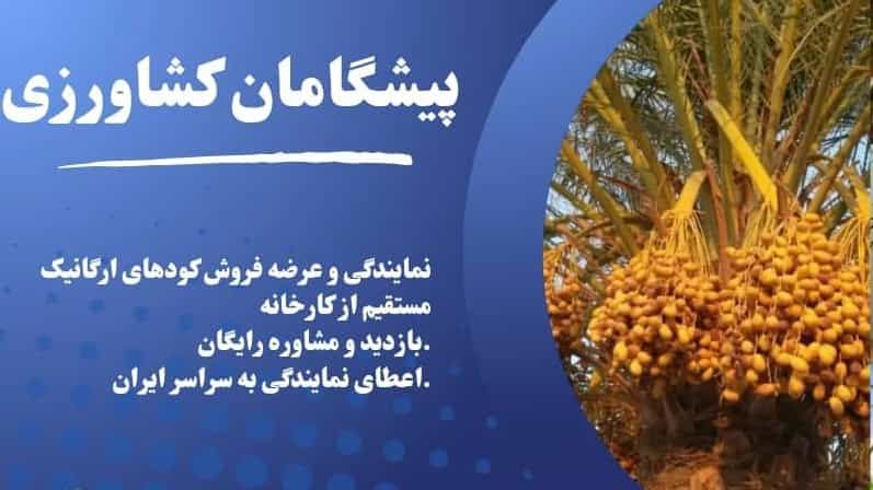 Purchase and price of the best liquid stimulus fertilizer in Kerman