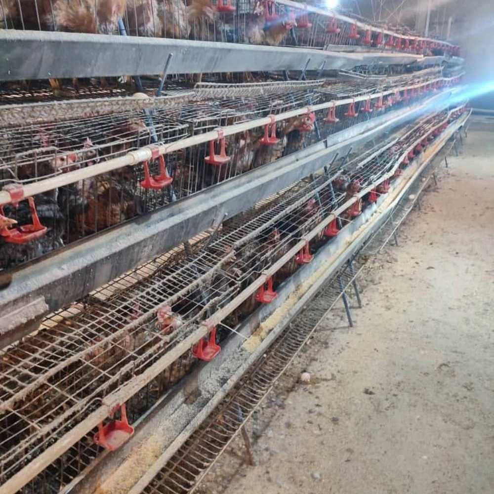 دستگاه‌های اتوماتیک