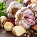 Alvand Patrol, Garlic Provider and Garlic Derivative in Hamadan