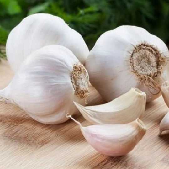 الوند کشت
