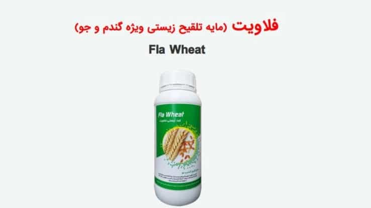 Flavite