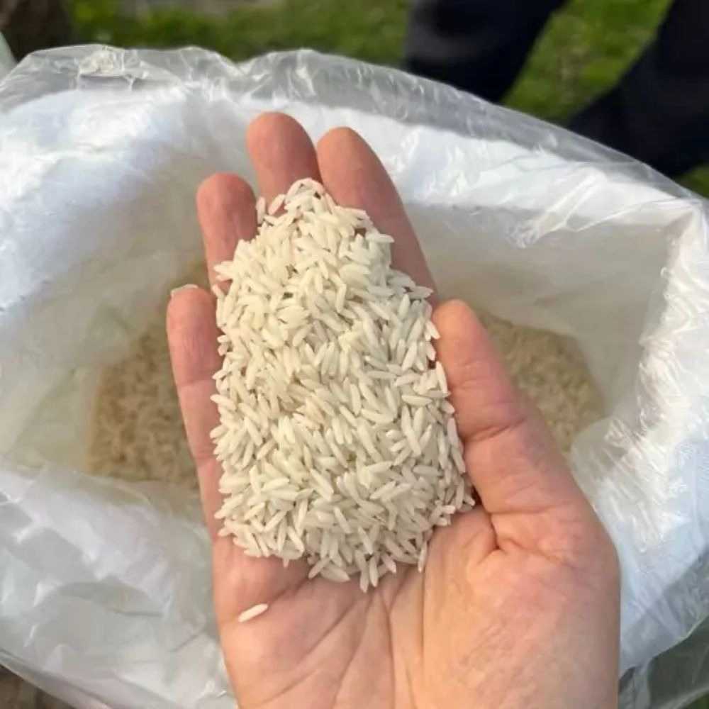گیلان