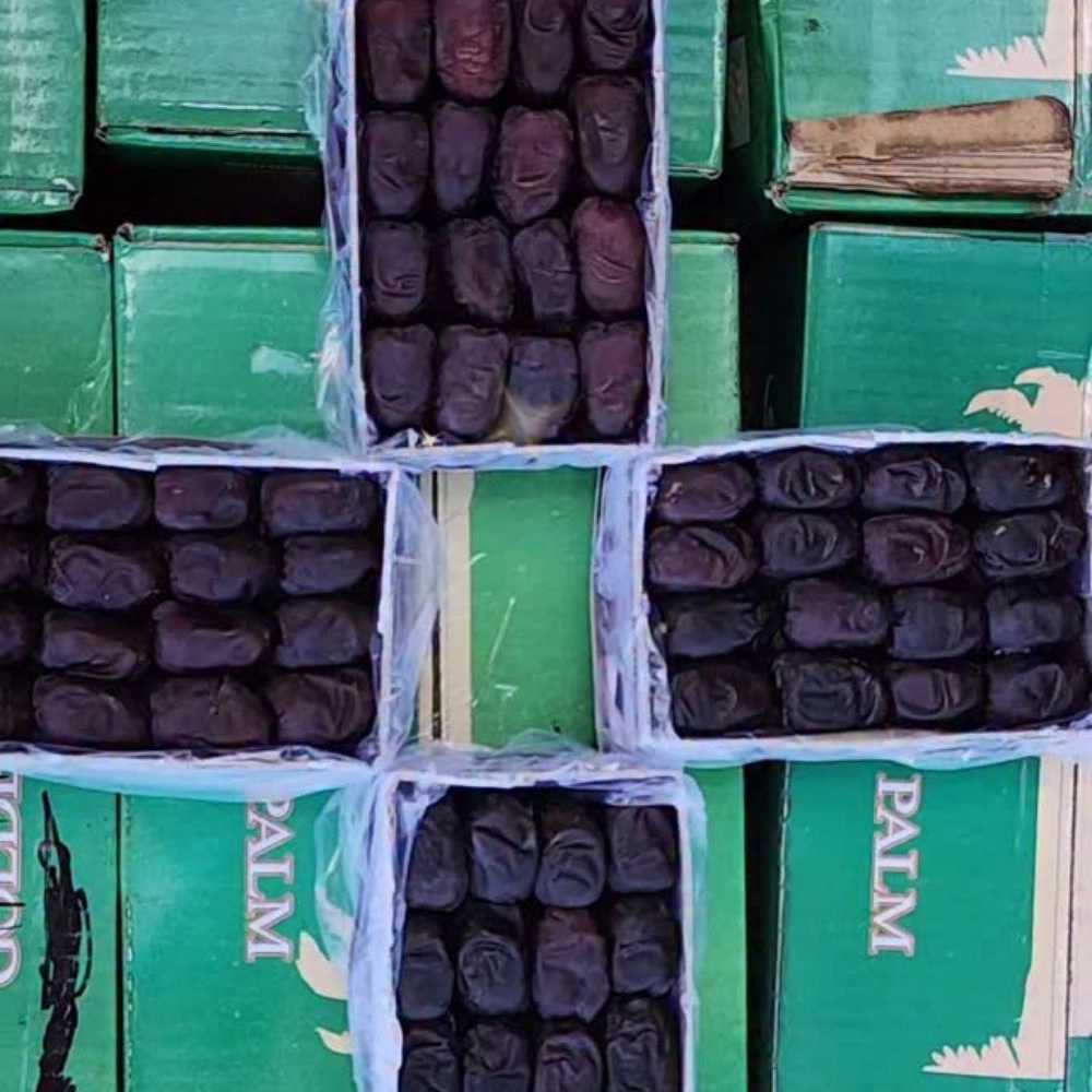 فروش عمده خرمای بم در مشهد