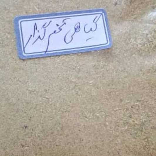 تولید پودر گیاهی ارگانیک
