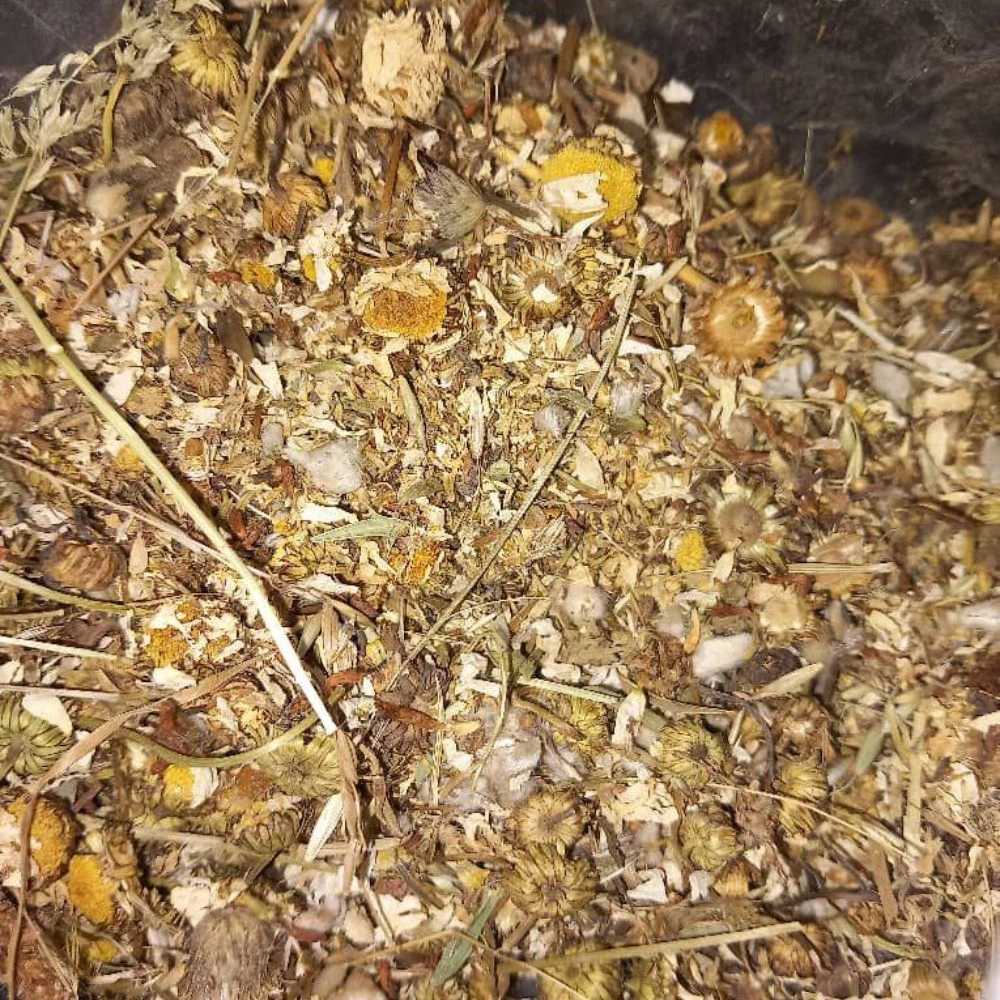 تولید پودر گیاهی دام و طیور سبزینه در مشهد