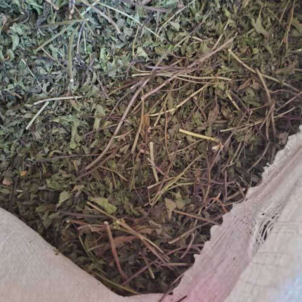 تولید پودر گیاهی دام و طیور سبزینه در مشهد