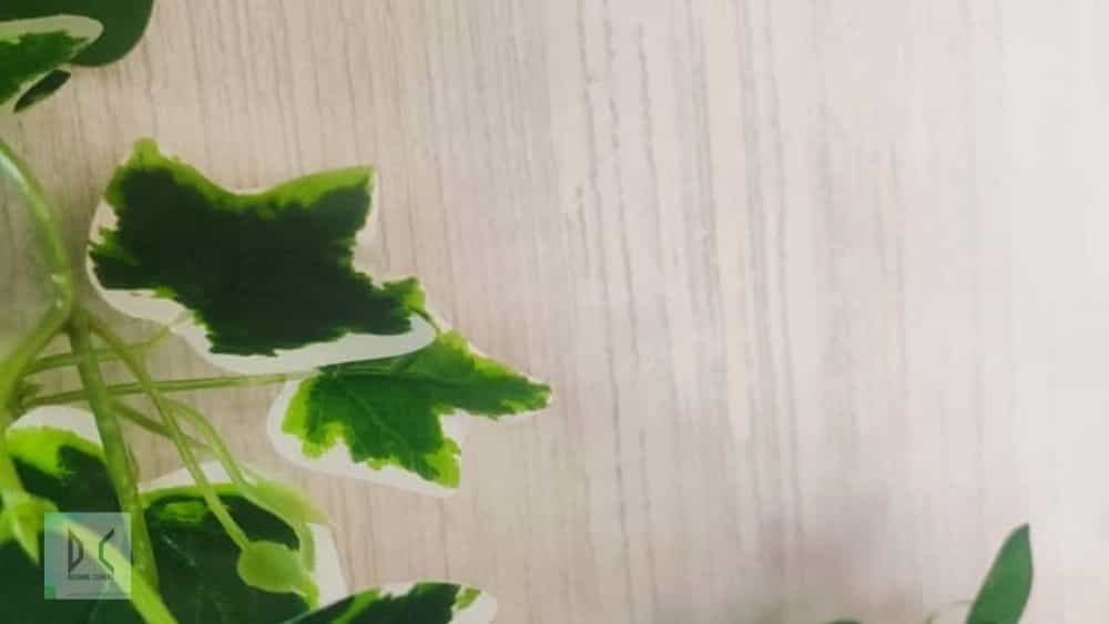 Complete comparison of microcement with stone, ceramic and epoxy