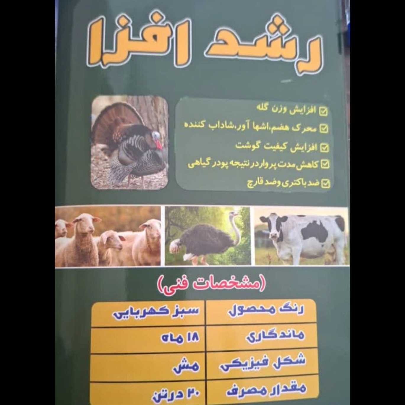 افزایش وزن دام با پودر گیاهی