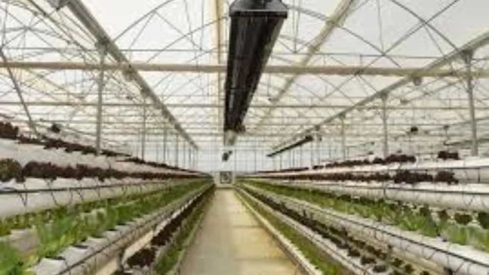 Construction of Unolit insulated greenhouse heater in Gulshan, Isfahan