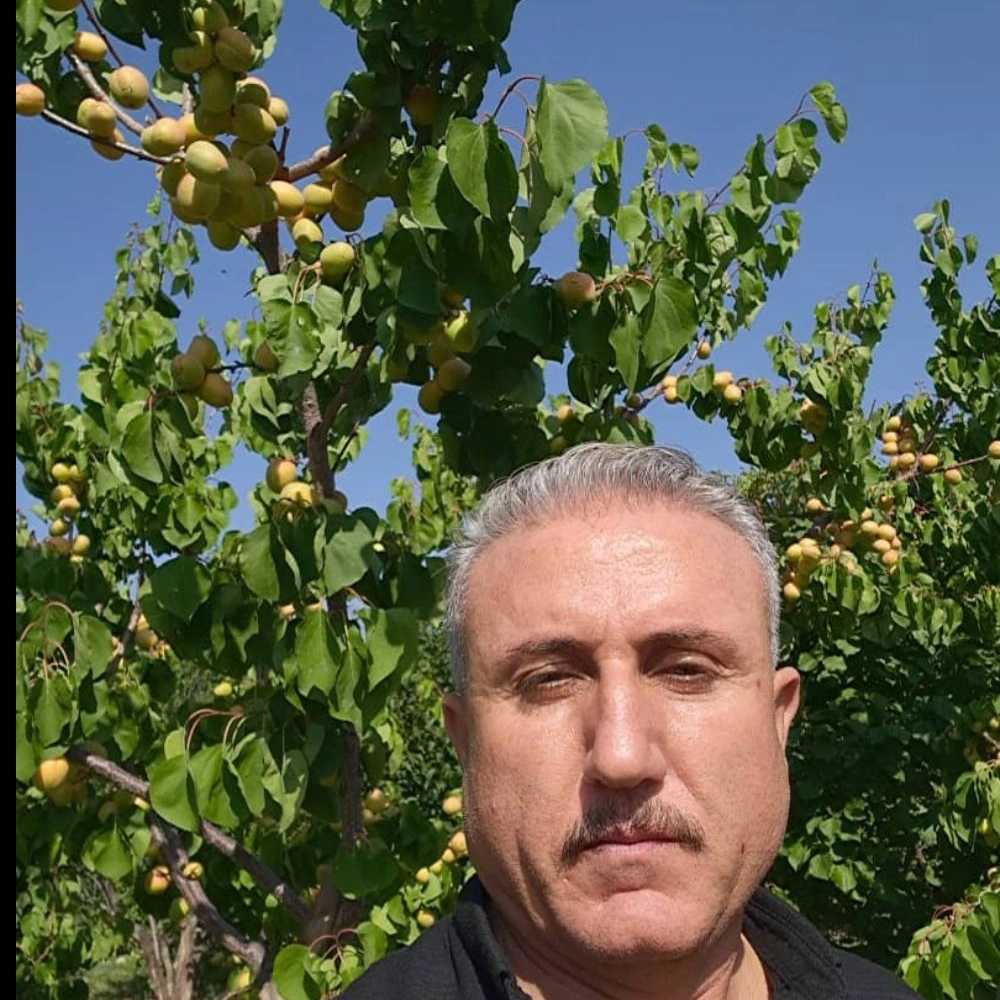 نهالستان