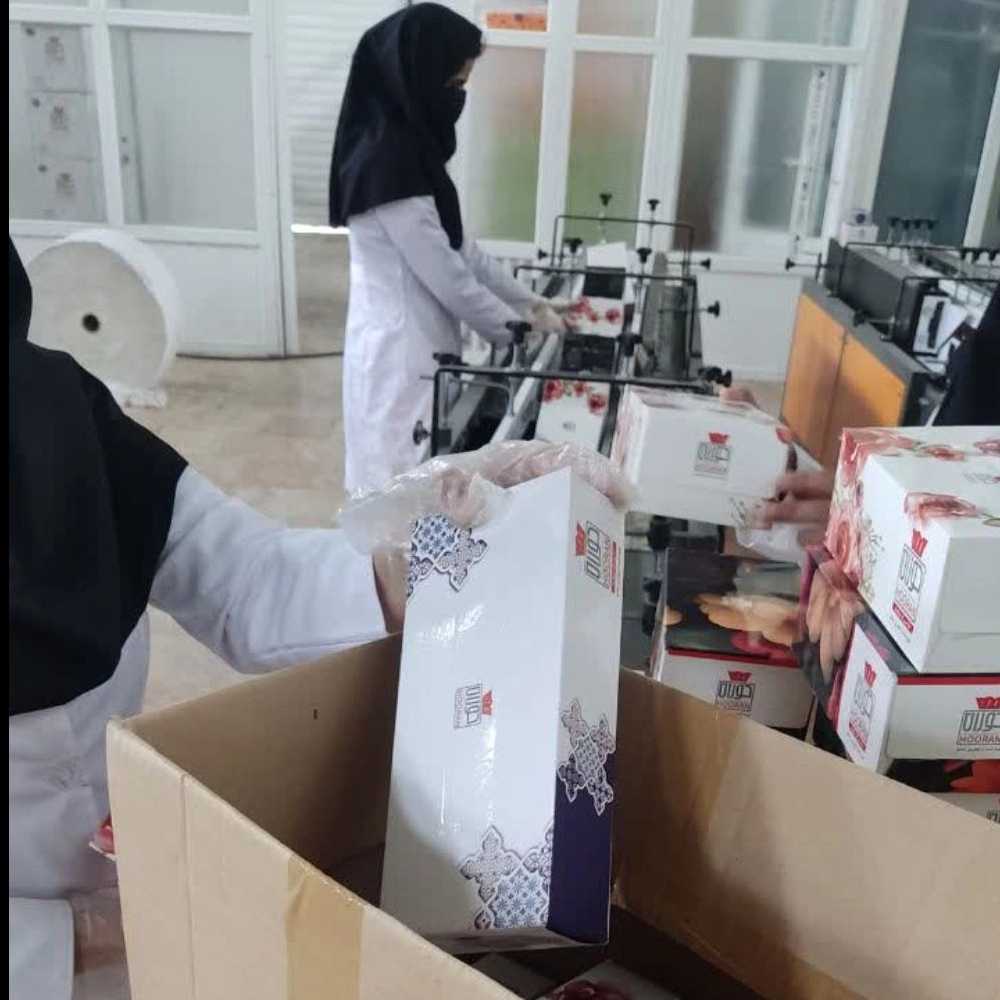 فروش دستمال کاغذی عمده