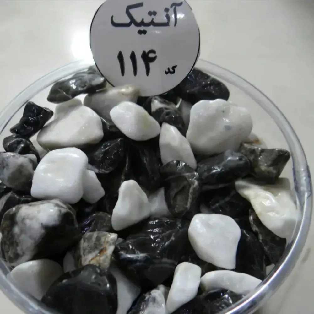 فروشگاه آکواریوم اقیانوس آبی سیرجان
