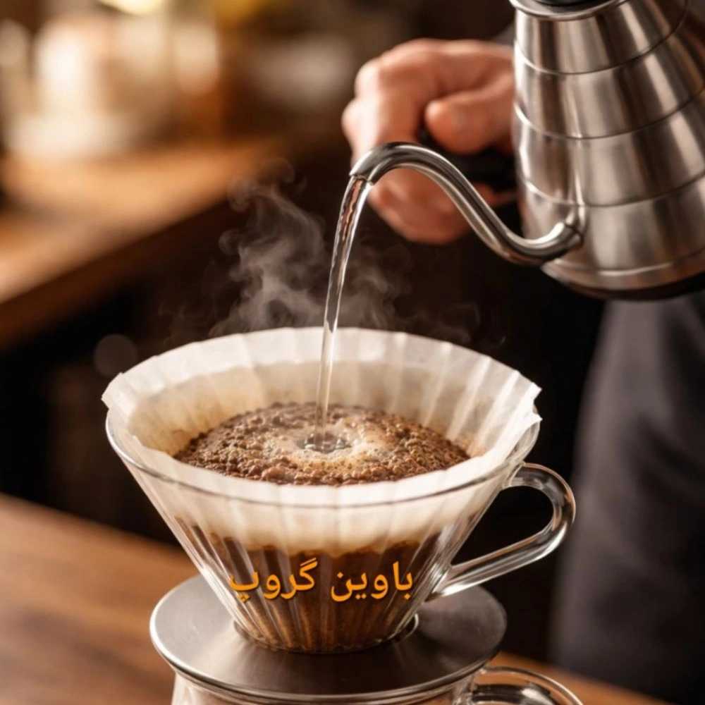 باوین گروپ