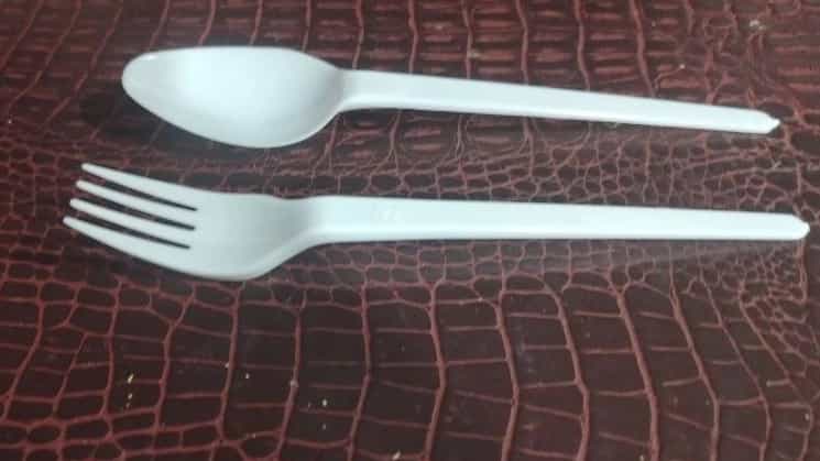 The best producer of disposable dishes in Tabriz