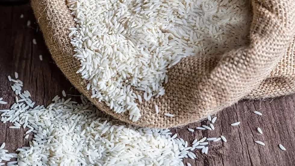 The wholesale price of modern Barkat North rice in Mazandaran
