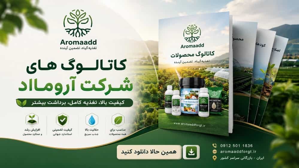 Aromaad company catalogs