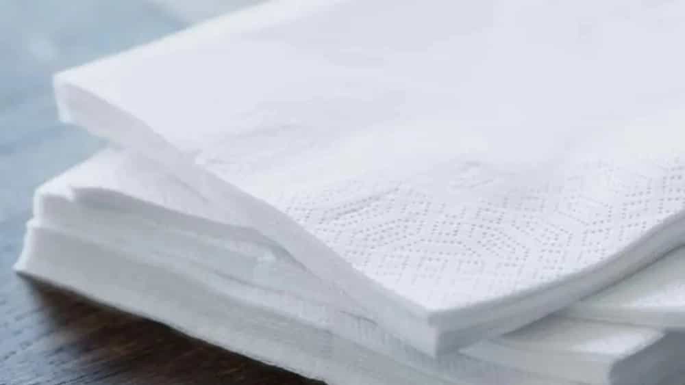 The price of wholesale paper towels in Mashhad