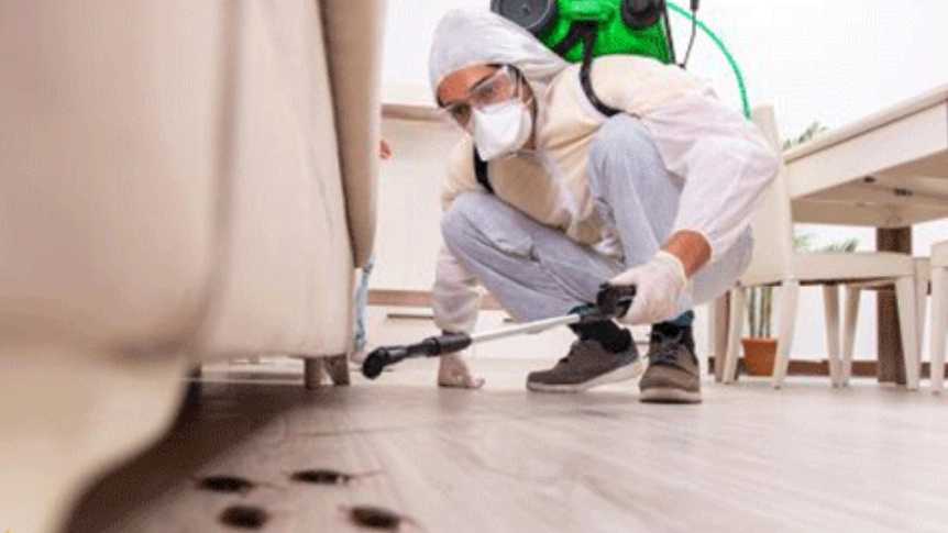 Rezaei Spraying, insect spraying services in Hamedan