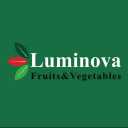 Luminova Trading, export of agricultural products of lettuce, cabbage and celery in Karaj