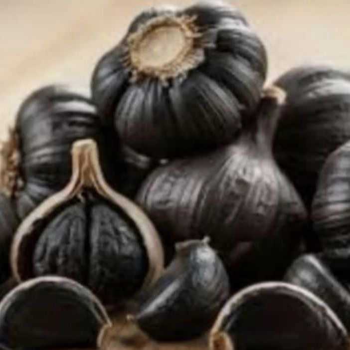 سیر سیاه