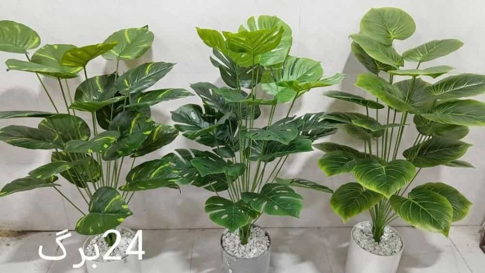 Buying large artificial trees and shrubs for lobby and commercial space in Shiraz