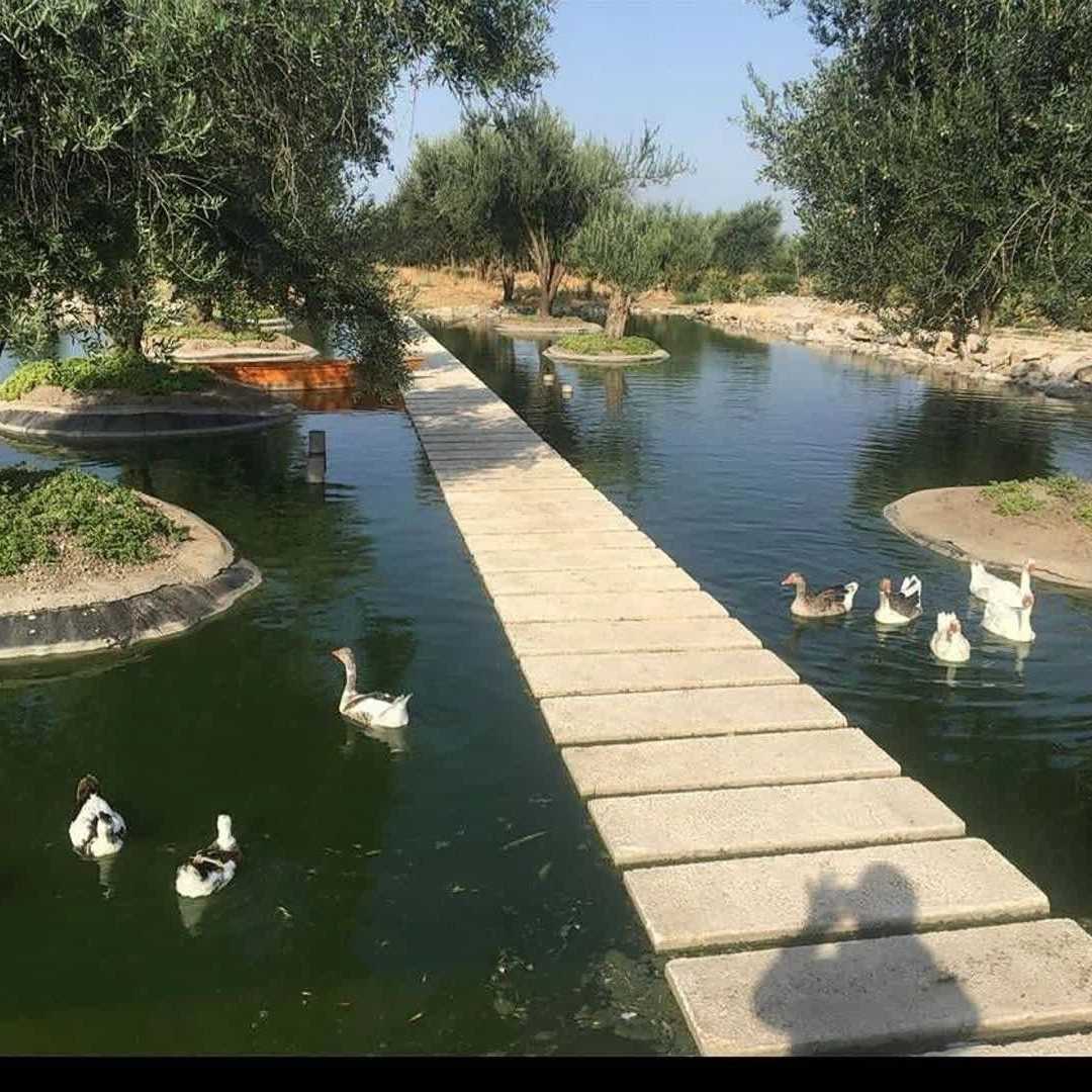 احداث و آب‌بندی استخر پرورش ماهی با ژئوممبران در حومه تهران
