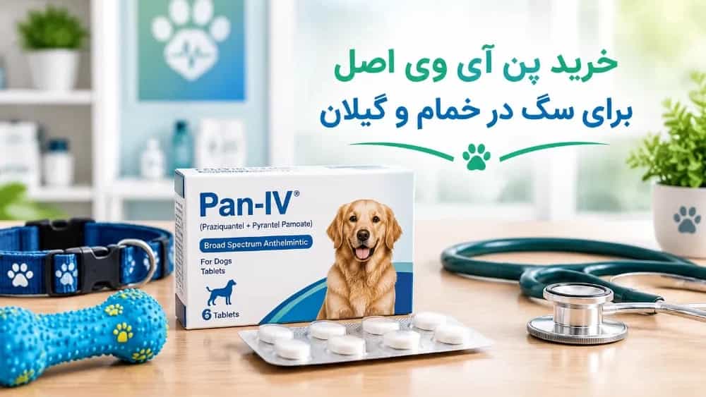 Khammam ve Gilan banliyölerindeki köpekler için orijinal IV kalemi satın alın