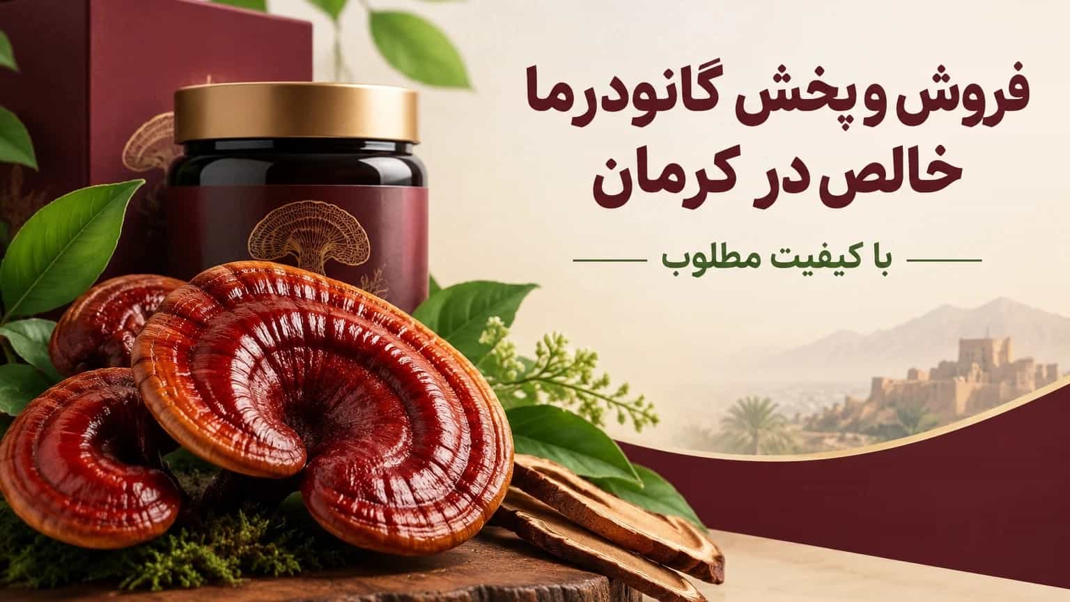 Sale and distribution of pure Ganoderma in Kerman with good quality