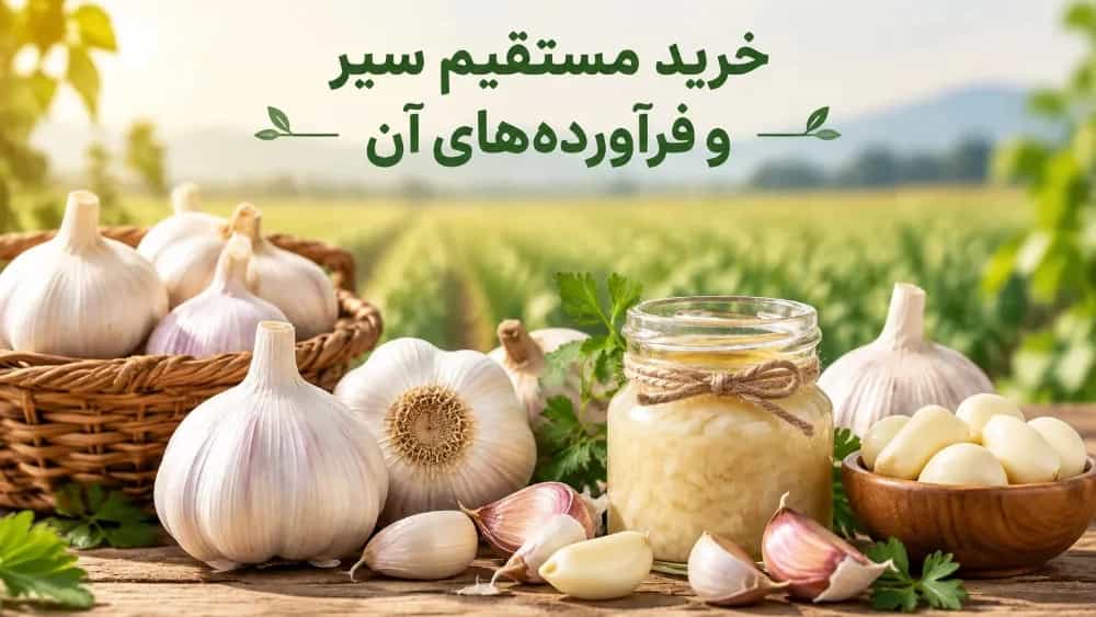 Direct purchase of garlic and its products from the producer