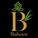 Wholesale sale and export of Bahalu tree almonds in Tehran