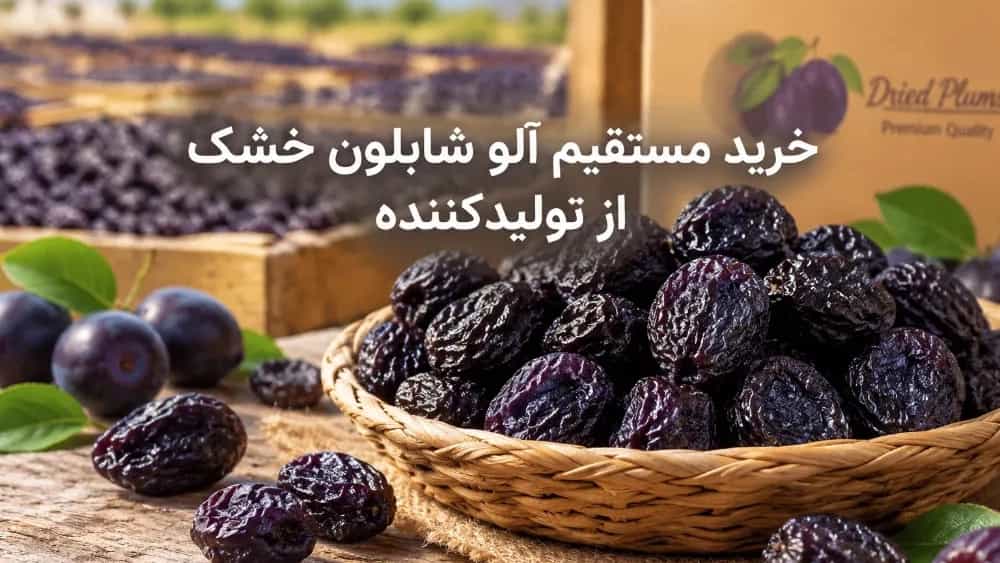 Üreticiden kurutulmuş şablon eriklerin doğrudan satın alınması