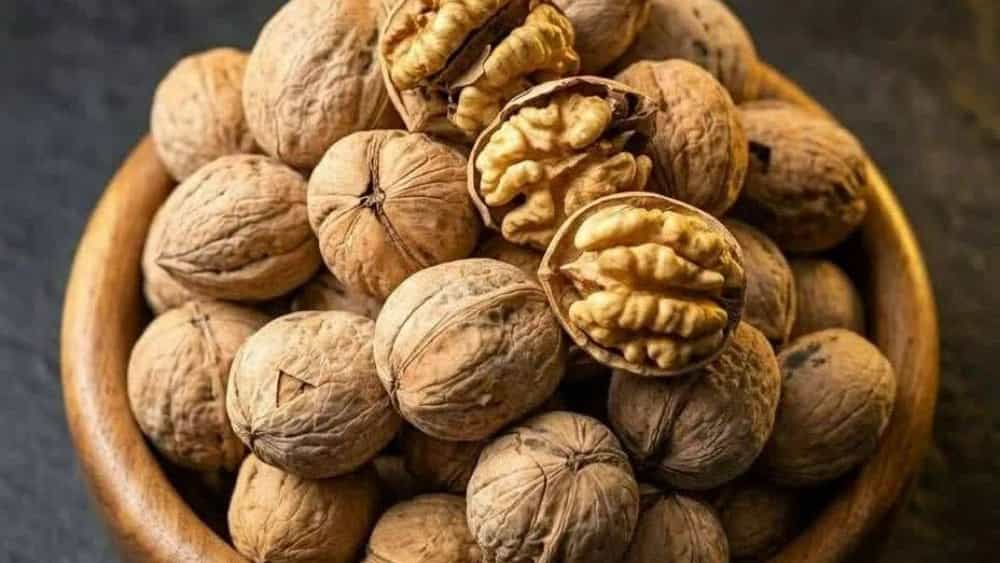 Exporting walnuts to the whole world from an Iranian producer