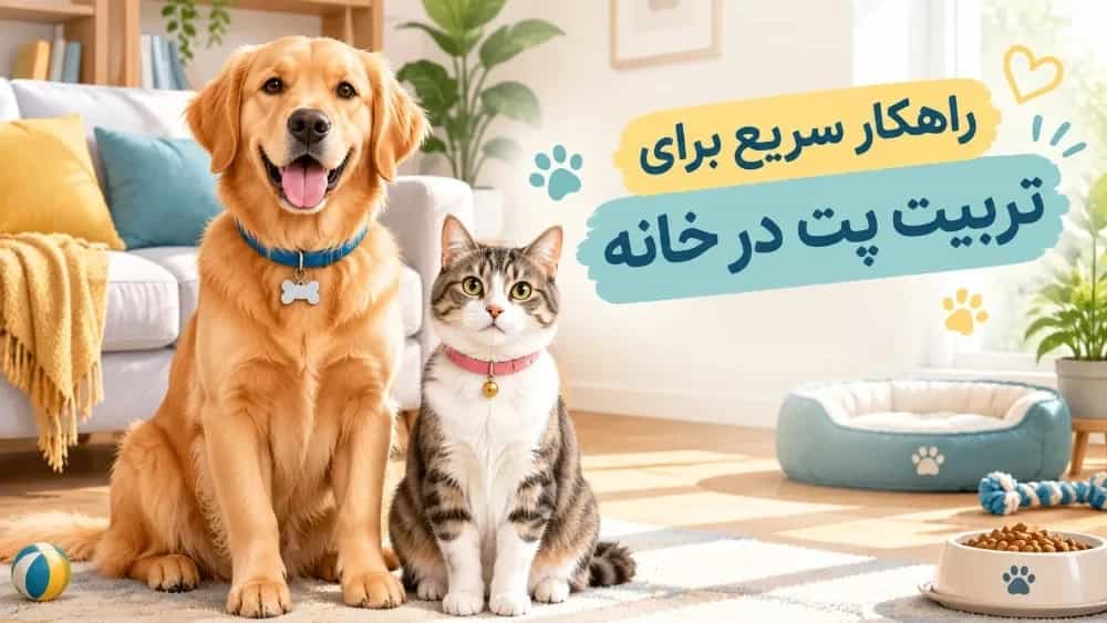 A quick solution for pet training at home