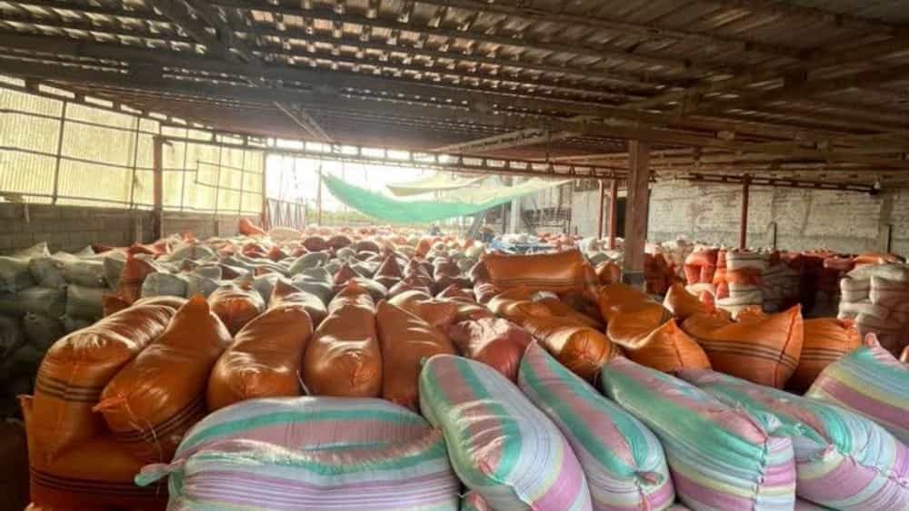 Karimpur rice store, direct purchase of Tarem and second crop rice from the factory door
