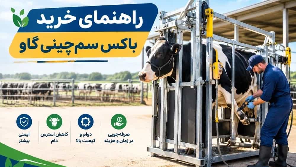 A guide to buying cow dung boxes