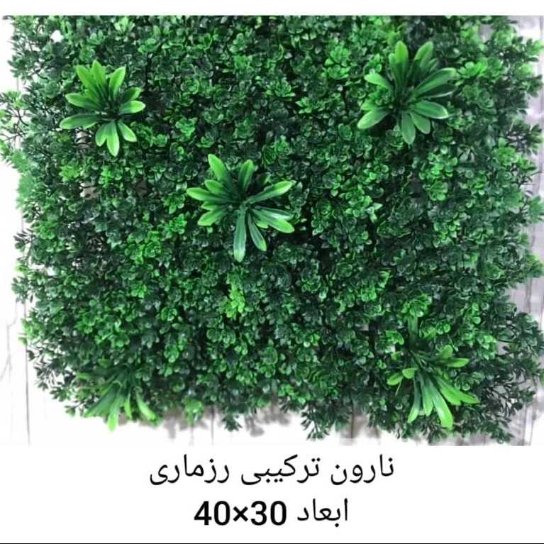 1689769264068.webp