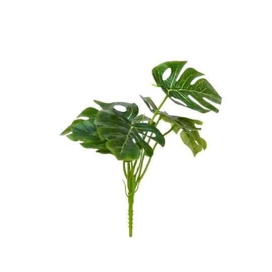 1690698284582.webp