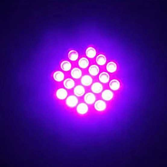 1690891589326.webp