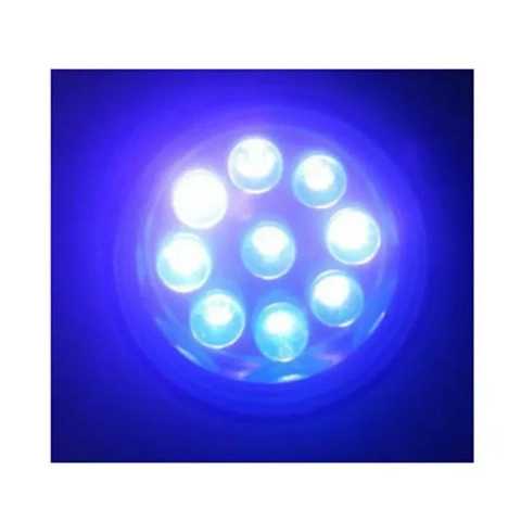 1690958309896.webp