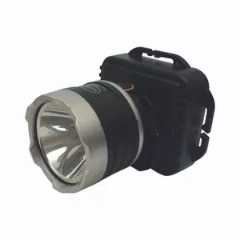 1690972512568.webp