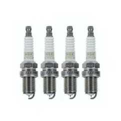 1691823624515.webp
