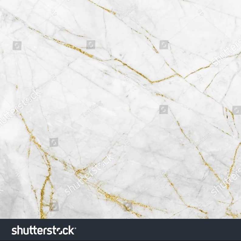 1691825841281.webp