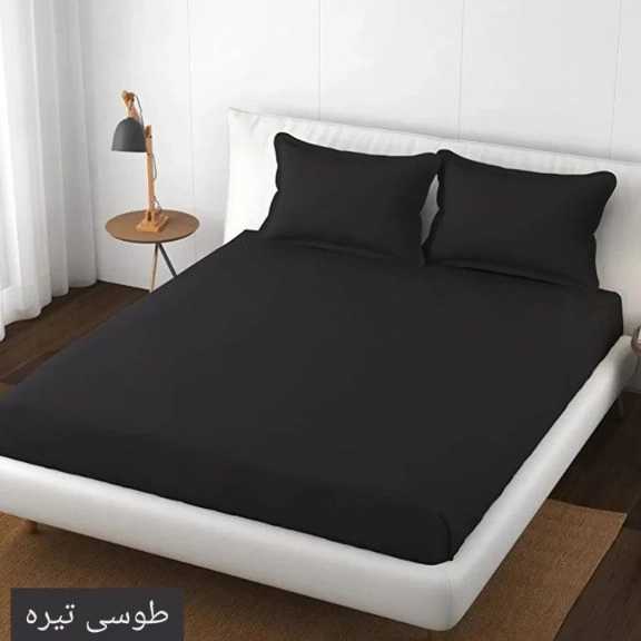 1692440144800.webp