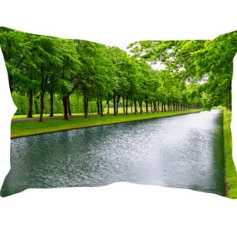 1692522166244.webp