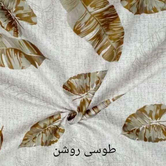 1692602543765.webp