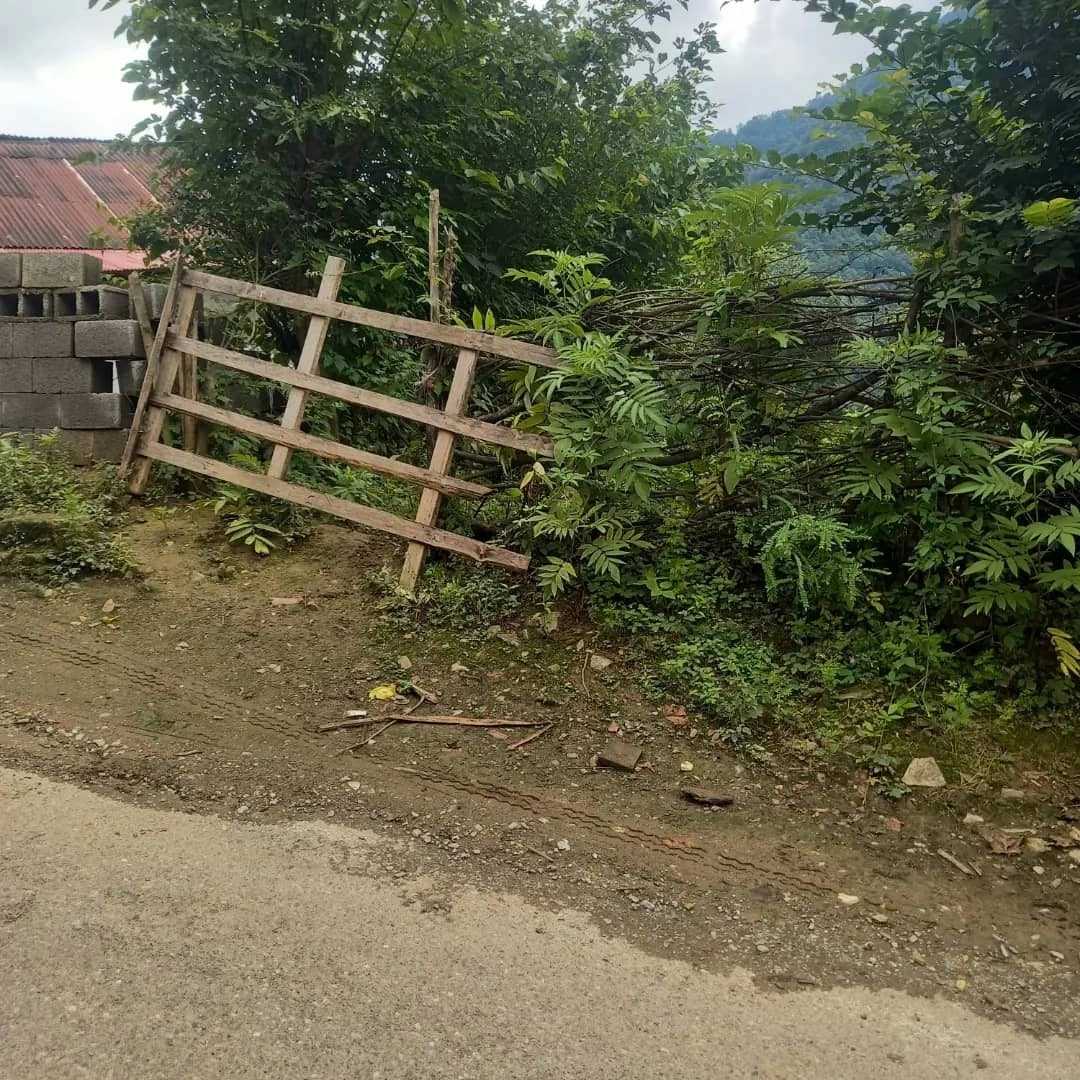 1695021925642.webp