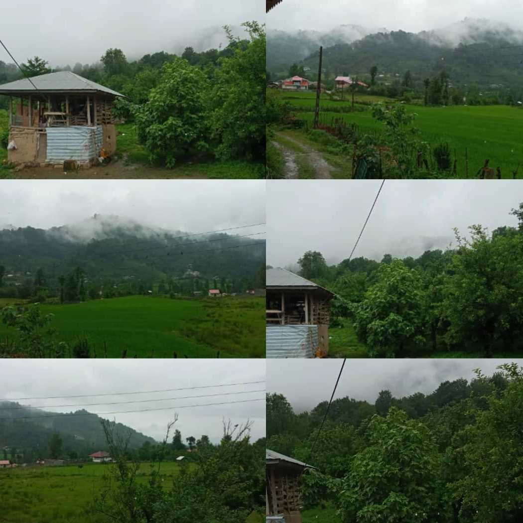1697105647646.webp
