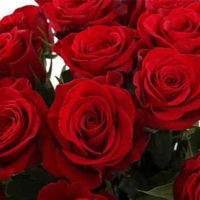 1699076841954.webp